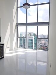Miro (D11), Apartment #530721161